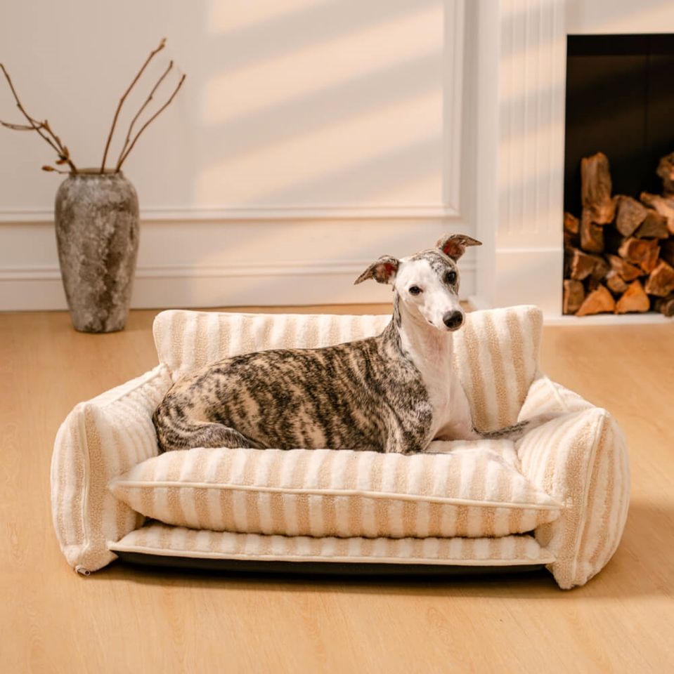 Canapé-lit à rayures Woof & Purr pour chien et chat