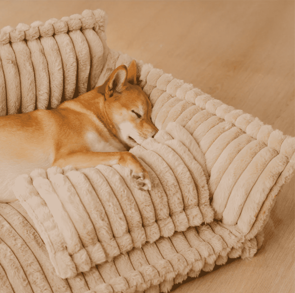 Canapé-lit Woof & Purr pour animaux de compagnies