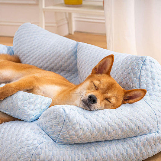 Canapé-lit  Woof & Purr en soie de glace
